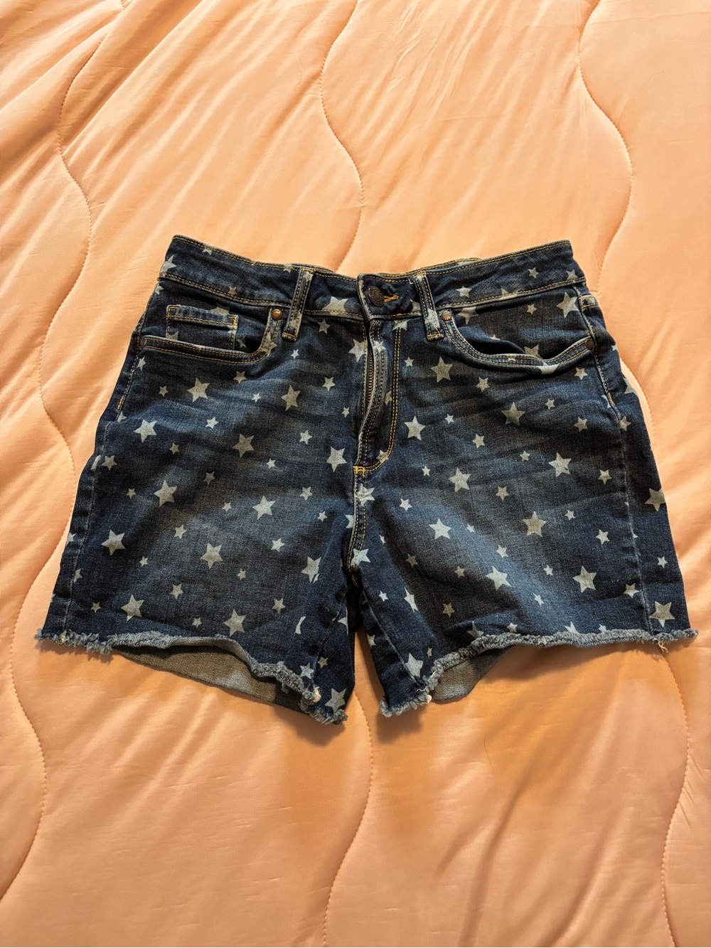 Falls Creek Denim Shorts